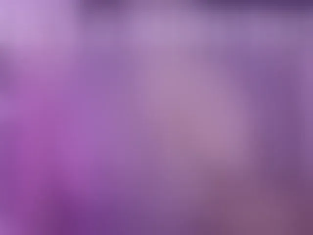 Live sex webcam photo for britt-grey #293882830