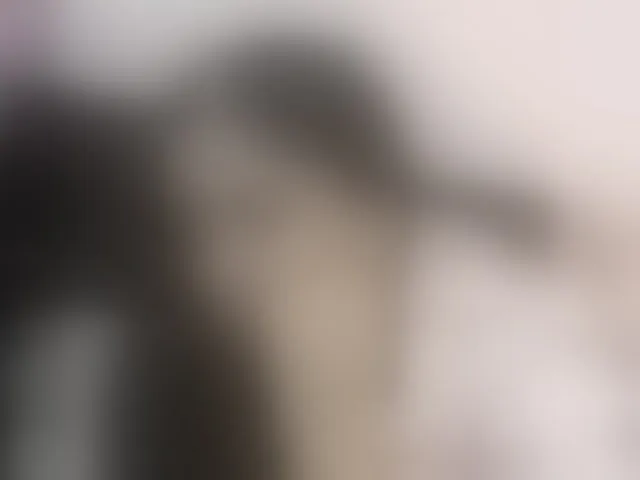 Live sex webcam photo for britt-grey #294266554