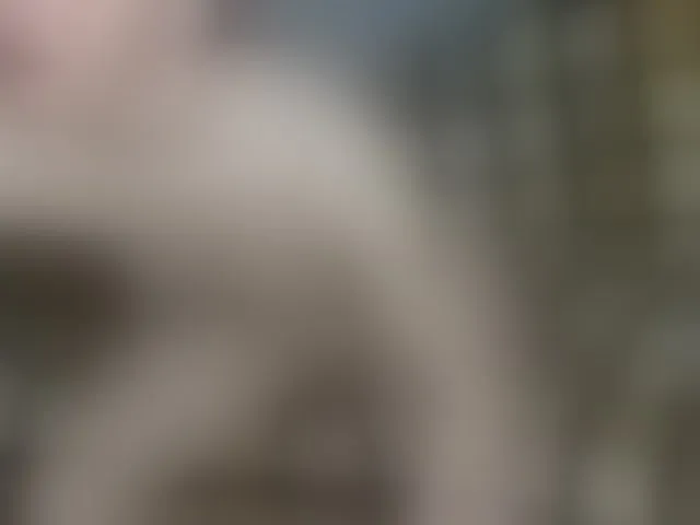 Live sex webcam photo for brunettedaisy #292650247