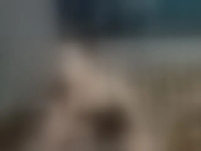 Live sex webcam photo for brunettedaisy #292677115