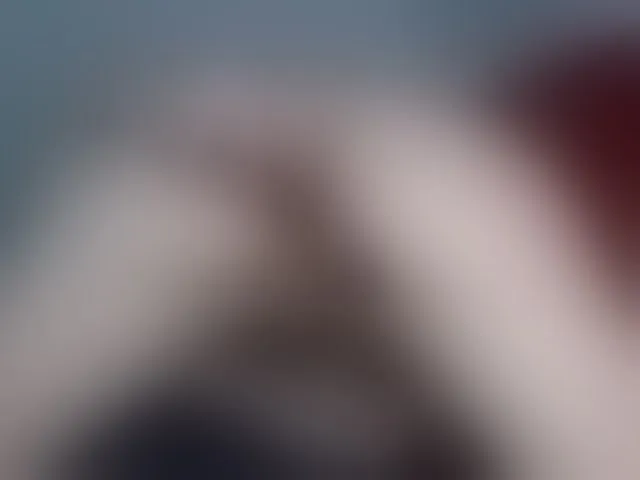 Live sex webcam photo for brunettedaisy #293084700