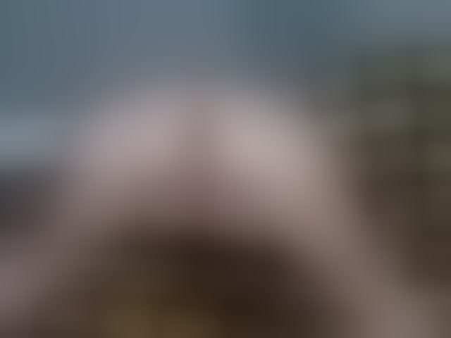 Live sex webcam photo for brunettedaisy #293536544