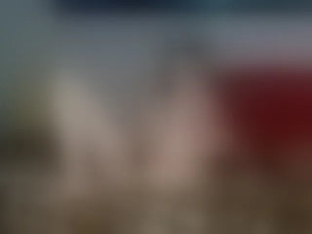 Live sex webcam photo for brunettedaisy #293605499