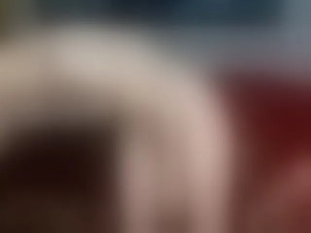 Live sex webcam photo for brunettedaisy #293830765