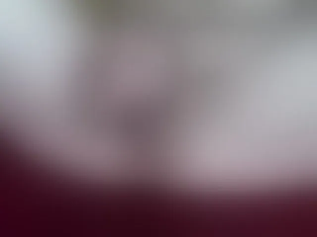 Live sex webcam photo for brunettedaisy #293899608