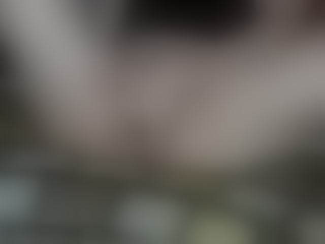 Live sex webcam photo for brunettedaisy #294058433