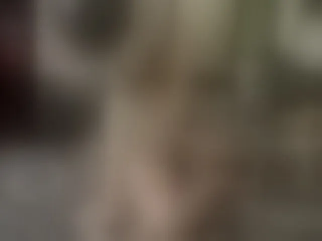 Live sex webcam photo for bubblybubbles #293035713