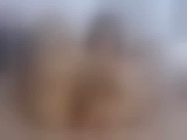 Live sex webcam photo for bunnygeo #294335394