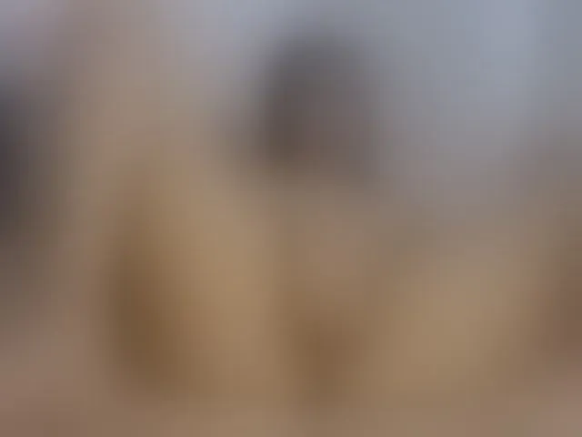 Live sex webcam photo for bunnygeo #294336600