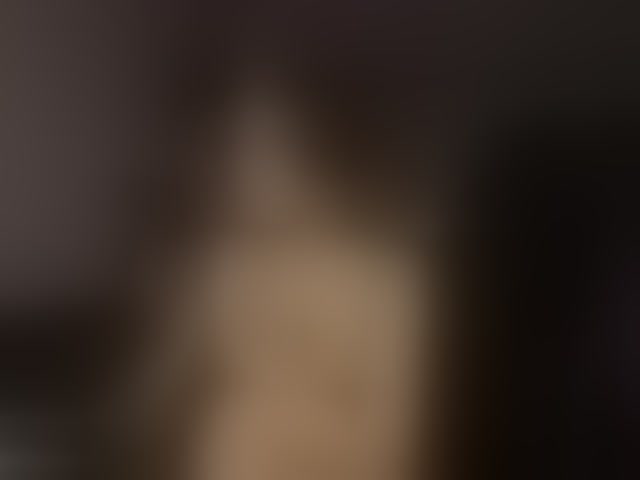 Live sex webcam photo for bySOVA #294292626