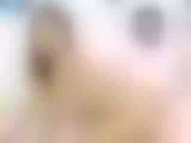 Live sex webcam photo for calena-evans #274327633