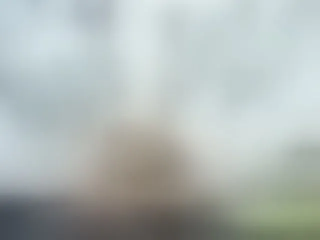 Live sex webcam photo for camiilosaortega #293716082