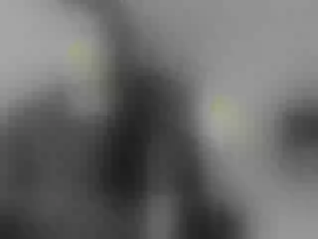 Live sex webcam photo for camila-blun #275258197