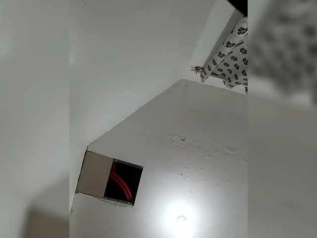 Live sex webcam photo for candicelovee #292328312