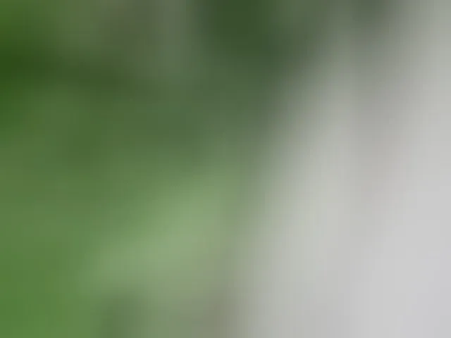Live sex webcam photo for candicelovee #293773083