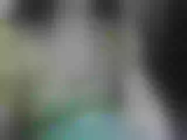 Live sex webcam photo for candyshane #292242969