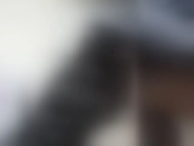 Live sex webcam photo for candyshane #292571637