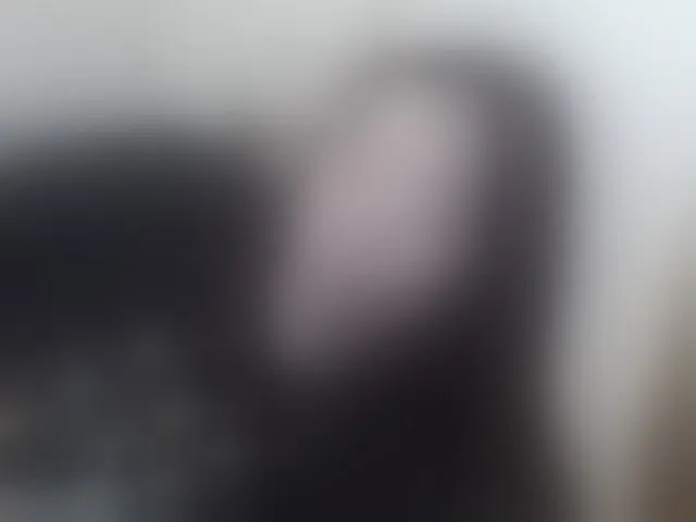 Live sex webcam photo for candyshane #292638022