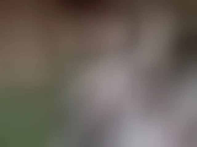 Live sex webcam photo for candyshane #293440861