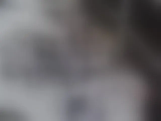 Live sex webcam photo for candyshane #293690120