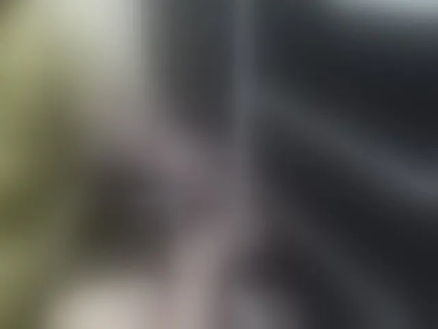 Live sex webcam photo for candyshane #293825985