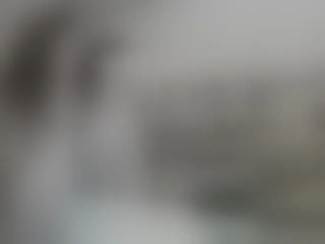 Live sex webcam photo for caroliiine #292971055