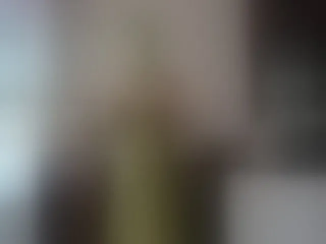Live sex webcam photo for caroliiine #293701359