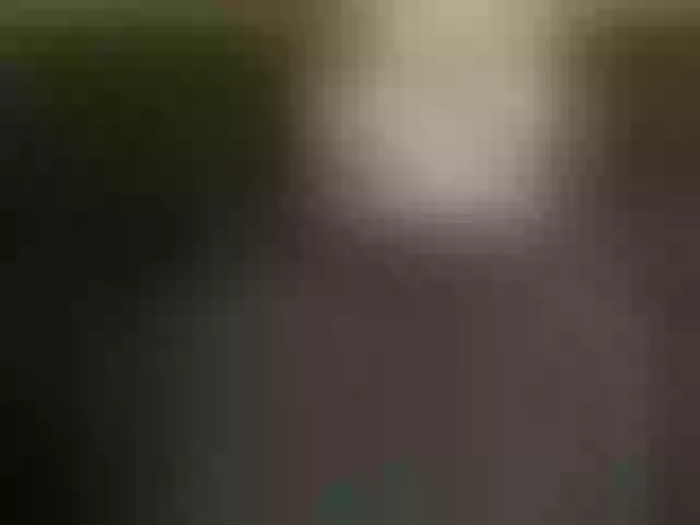 Live sex webcam photo for carolineford #291956728