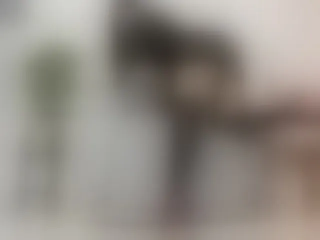 Live sex webcam photo for carolynee1 #293730390