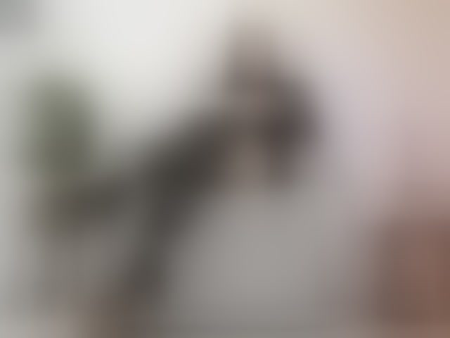 Live sex webcam photo for carolynee1 #294144503