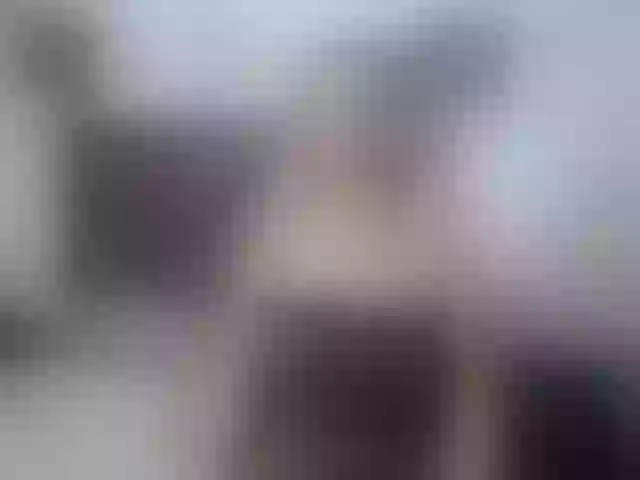 Live sex webcam photo for cassandra-sex #273879038