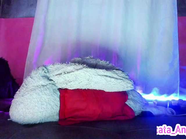 Live sex webcam photo for cata-anngel #290665116