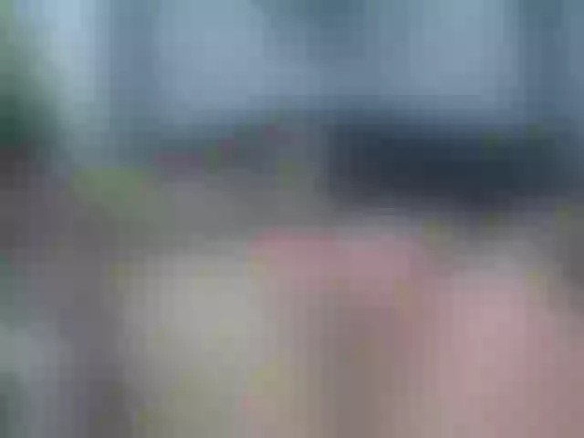 Live sex webcam photo for catalella-latina #290715396