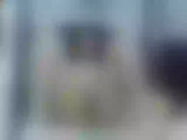 Live sex webcam photo for catalella-latina #290763232