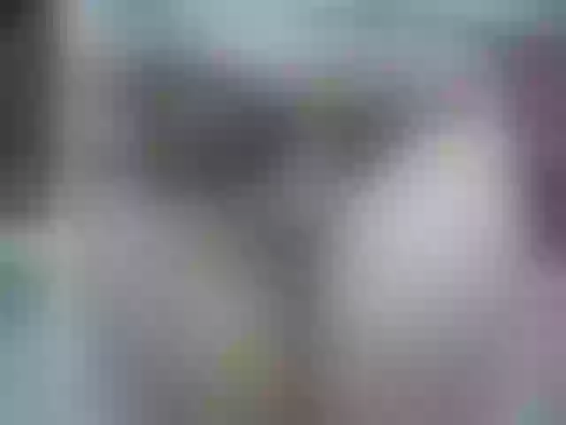 Live sex webcam photo for catalella-latina #290794244
