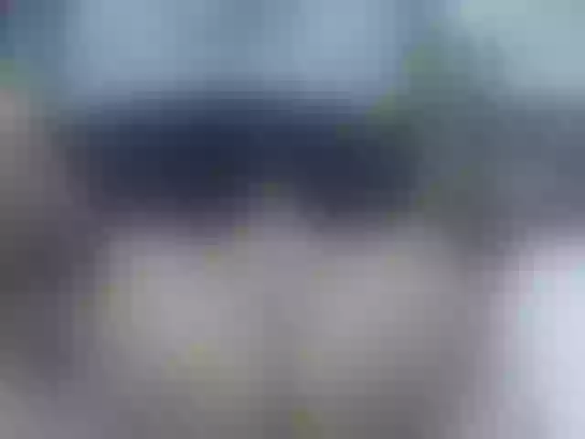 Live sex webcam photo for catalella-latina #291423197