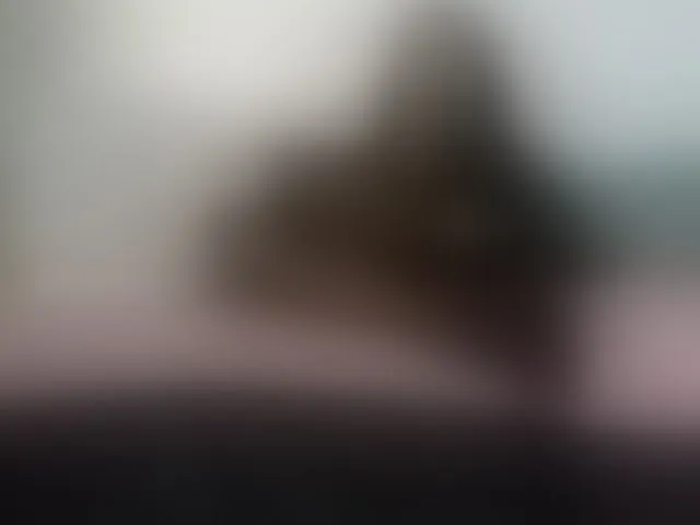 Live sex webcam photo for cataleya35 #293087726