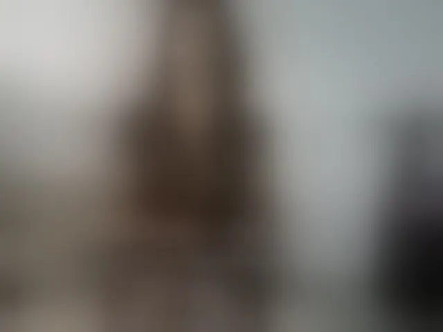 Live sex webcam photo for cataleya35 #293102198
