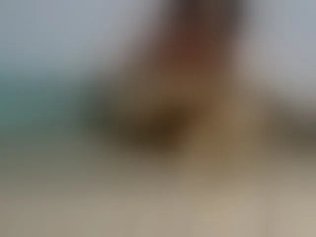 Live sex webcam photo for cataleya35 #293182387