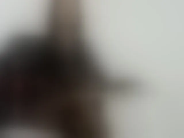 Live sex webcam photo for cataleya35 #293360010
