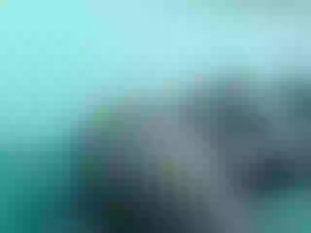 Live sex webcam photo for cathysexin #272277757