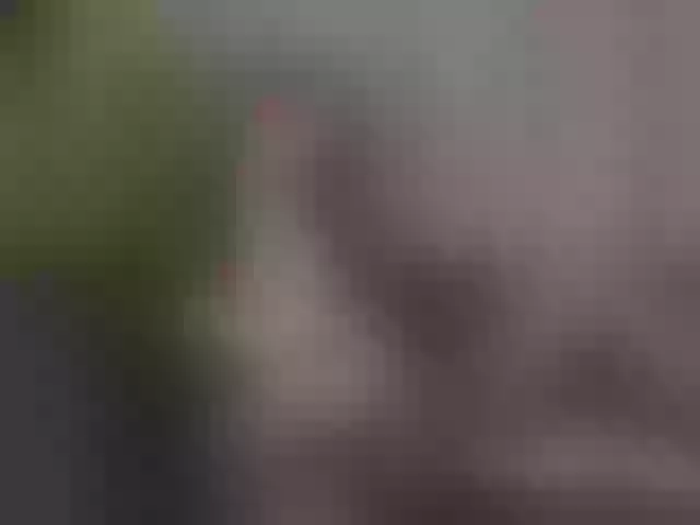 Live sex webcam photo for cattitude #290675275