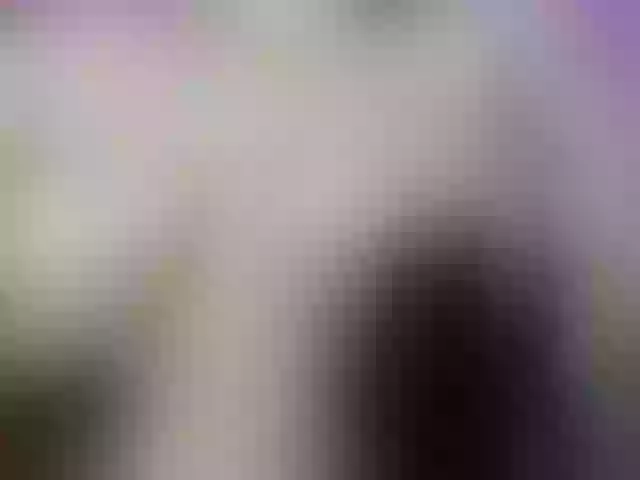 Live sex webcam photo for celenefox #292193980