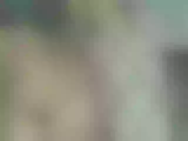 Live sex webcam photo for celeste04 #291398775