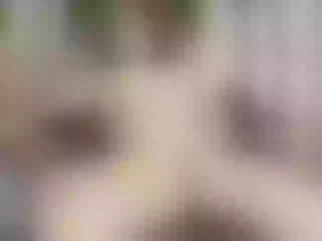 Live sex webcam photo for celestee-adamss #290781497