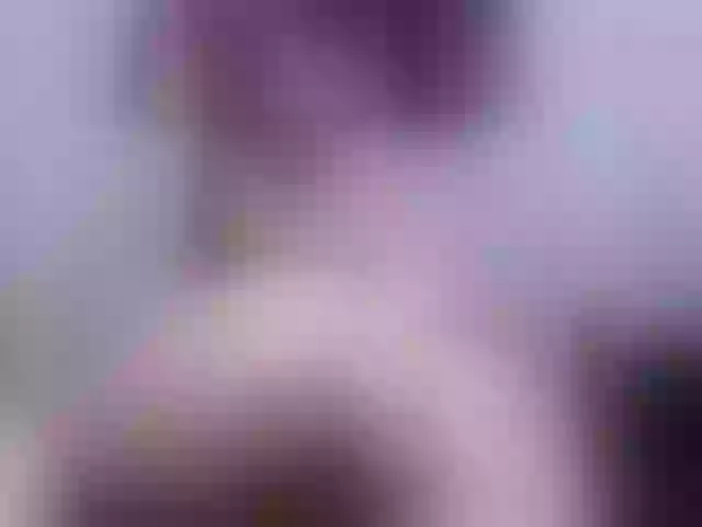 Live sex webcam photo for celestewest1 #290785382