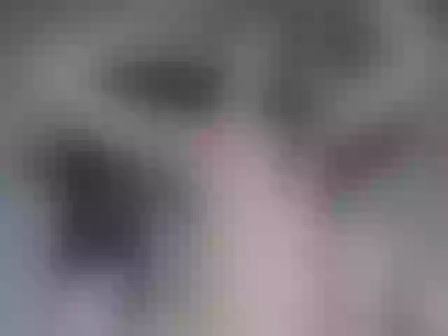 Live sex webcam photo for channel-sw #278285557