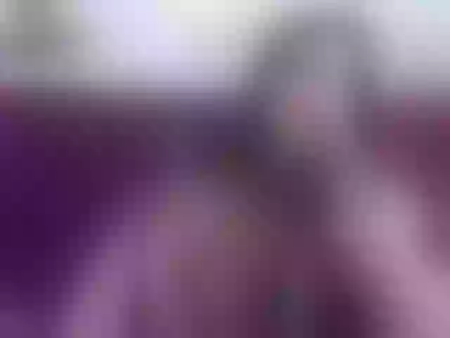 Live sex webcam photo for chantallthx #278020969