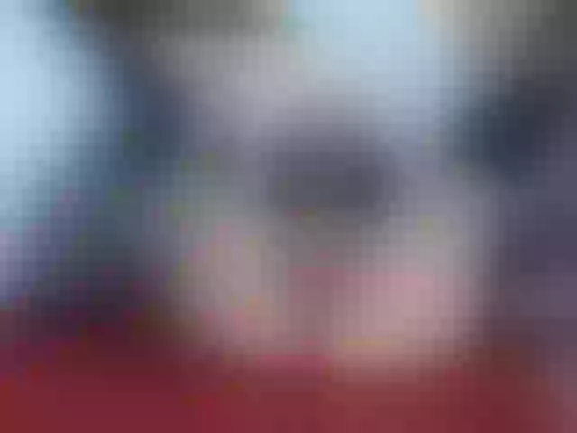 Live sex webcam photo for charlotholmes #272474370