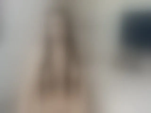 Live sex webcam photo for charlotte-mayers #293245399